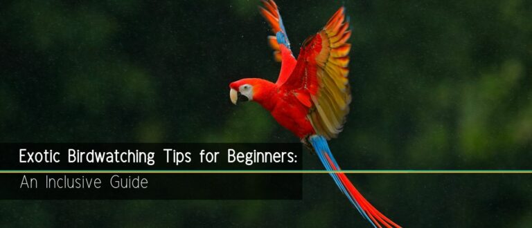 Exotic Birdwatching Tips for Beginners